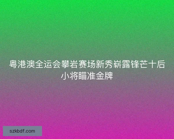 粤港澳全运会攀岩赛场新秀崭露锋芒十后小将瞄准金牌